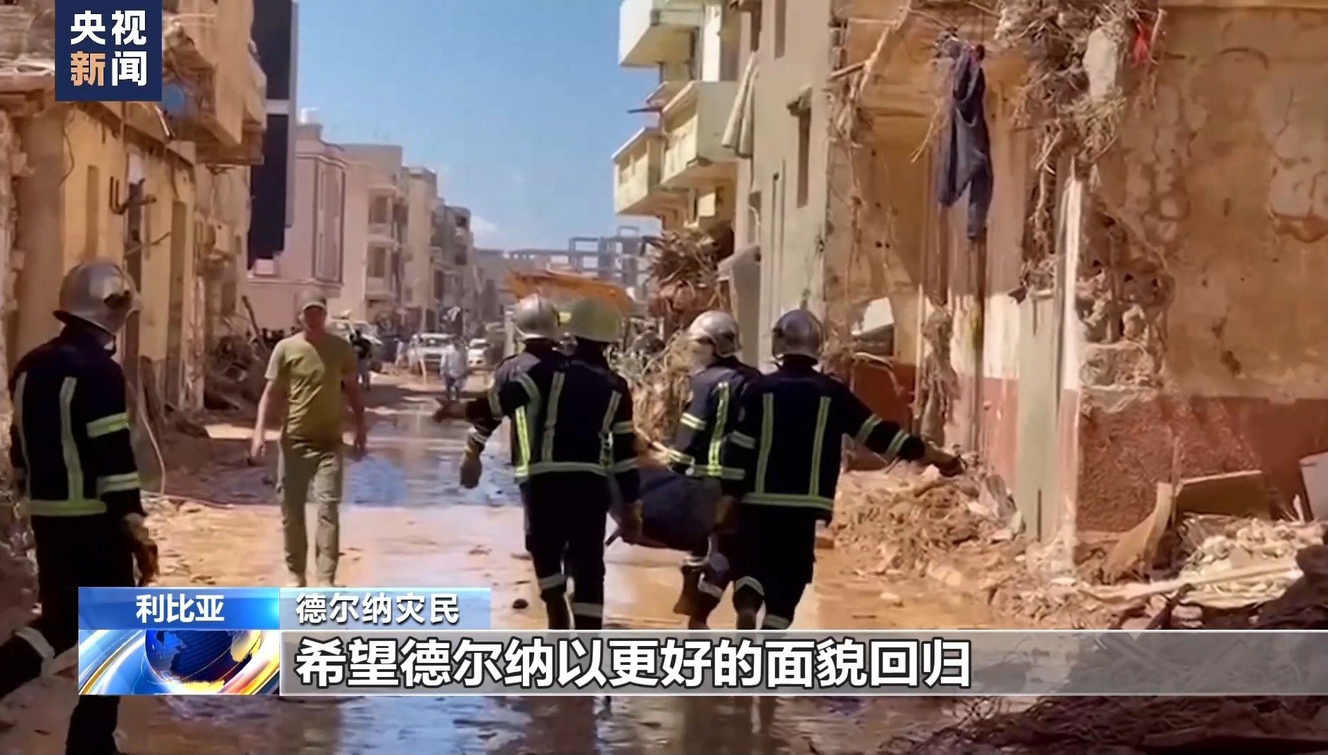 摇钱树捕鱼手机版